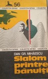DAN GR.MIHAIESCU-Slalom printre banuiti
