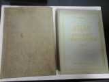 ATLAS DE ANATOMIE COMPARATIVA (2 Volume) - GHETIE / PASTEA / RIGA