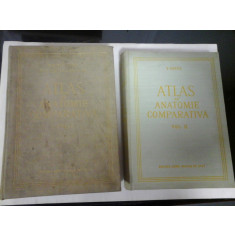 ATLAS DE ANATOMIE COMPARATIVA (2 Volume) - GHETIE / PASTEA / RIGA