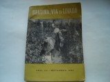 Gradina, via si livada, anul XII - septembrie 1963