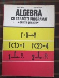 Algebra cu caracter programat pentru gimnaziu-Dan Nica, Maria Nica