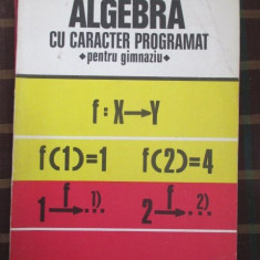 Algebra cu caracter programat pentru gimnaziu-Dan Nica, Maria Nica