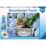 Cumpara ieftin Puzzle Pisicuta Intre Flori, 300 Piese, Ravensburger