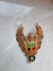 Insigna de aviatie aniversara, din perioada RSR foto