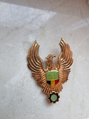 Insigna de aviatie aniversara, din perioada RSR foto