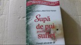 Jack Canfield si Mark Victor Hansen - SUPA DE PUI PENTRU SUFLET ( 2012 ), Adevar Divin