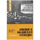 Romulus Rusan - America ogarului cenusiu - 103923