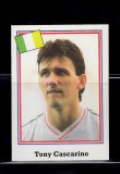 B10 - Sticker fotbal - Campionatul mondial USA - 1994 - nr 319