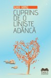 Cuprins de o liniste adanca, Fundatia culturala Ideea Europeana