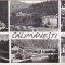 bnk cp Calimanesti - Vedere - circulata