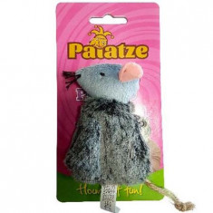 Paiatze Cat Soarece Gri W5625, 1704 foto