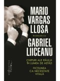 Chipuri ale raului in lumea de astazi. Fictiunea ca necesitate vitala/Mario Vargas Llosa, Gabriel Liiceanu