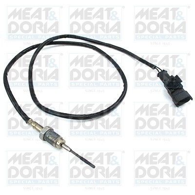 MEAT &amp;amp; DORIA 12450 Senzor, temperatura gaze evacuare foto