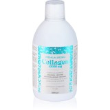 Aronia Charlotteburg Premium Aronia Collagen colagen hidrolizat 500 ml