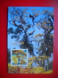 HOPCT MAXIMA NR 1429 MEDIUL AMBIENT /FLORA 1978 BRAZILIA