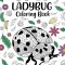 Ladybug Coloring Book