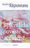 Splendida poveste accident - Dumitra Rasnoveanu