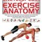 Encyclopedia of Exercise Anatomy