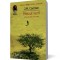Miezul verii - J. M. Coetzee
