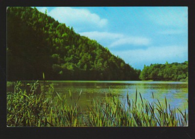 CPIB 18296 CARTE POSTALA - LUCACESTI. LACUL DE LA BOLATAU, BALATAU, JUD. BACAU foto