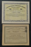 Lot 2 actiuni Intreprinderile forestiere romane , titlu , actiune , forestiera