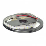 Banda LED 12V 9.6W/m, 120LED/m, IP20, R2835, 4100K - rola de 5m