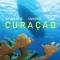 Reef Smart Guides Cura
