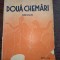 DOUA CHEMARI - Octav Dessila