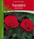 Cumpara ieftin Trandafirii: Ingrijire Si Taiere, Eckart Haenchen - Editura Casa