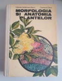 Gabriela Serbanescu Jitariu - Morfologia si anatomia plantelor