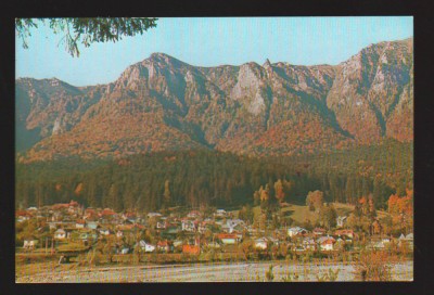 CPIB 19806 CARTE POSTALA - POIANA TAPULUI, NECIRCULATA, EDITURA SPORT-TURISM foto