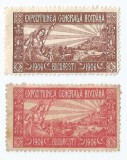 *Romania, lot 1115 cu 2 timbre fiscale de expozitie, 1906, NG