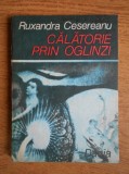 Ruxandra Cesereanu - Calatorie prin oglinzi