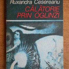 Ruxandra Cesereanu - Calatorie prin oglinzi