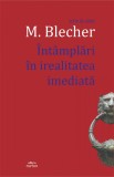 Intamplari in irealitatea imediata - Max Blecher