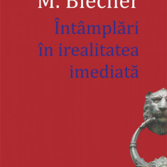 Intamplari in irealitatea imediata - Max Blecher