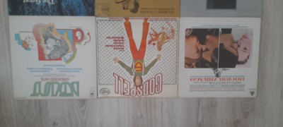 lot 6 viniluri #77 foto