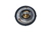 NRF 725182 EASY FIT termostat,lichid racire