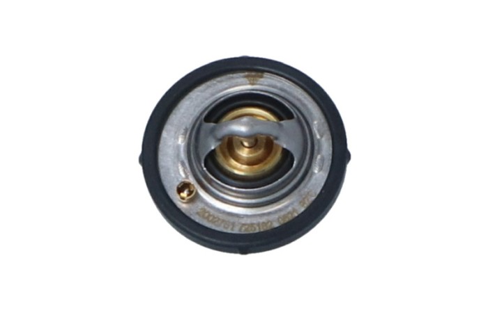 NRF 725182 EASY FIT termostat,lichid racire