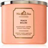 Bath &amp; Body Works Peach Bellini lum&acirc;nare parfumată IV. 411 g