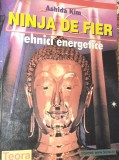 NINJA DE FIER TEHNICI ENERGETICE