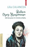 Rodica Ojog-Brasoveanu. 320 de pisici in Cimitirul Bellu - Polirom