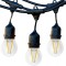 Ghirlanda Luminoasa cu Pendule 10m cu 10 Becuri LED Vintage 2W, G45, E27, IP65, Interconectabila, Be