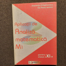 I. C. Draghicescu - Aplicatii de analiza matematica pentru clasa a XI-a