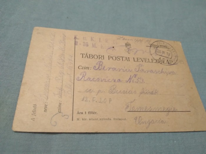 CARTE POSTALA MILITARA 1918CIRCULATA LA TEMESMEGIE SAU TIMIS