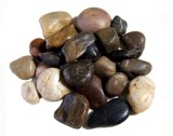 Pietre Decorative Plante, Culori de Pamant, 1kg, 3-4cm, Caffebeige