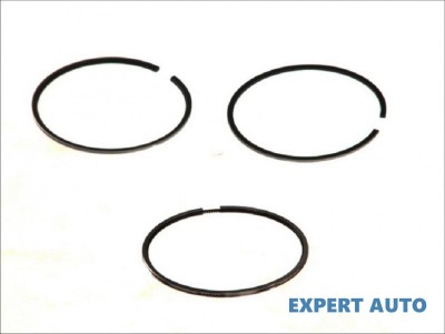 Set segmenti piston Volkswagen AUDI A3 (8L1) 1996-2003 foto