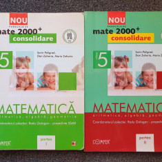 MATE 2000+ CONSOLIDARE. MATEMATICA CLASA A V-A - Gologan, Peligrad (2 vol)