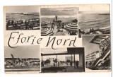 CPIB 15457 EFORIE NORD, mozaic, RPR