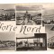 CPIB 15457 EFORIE NORD, mozaic, RPR